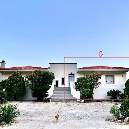 Evgatisbeach Loyskoy 2 Μύρινα Εξωτερικό φωτογραφία