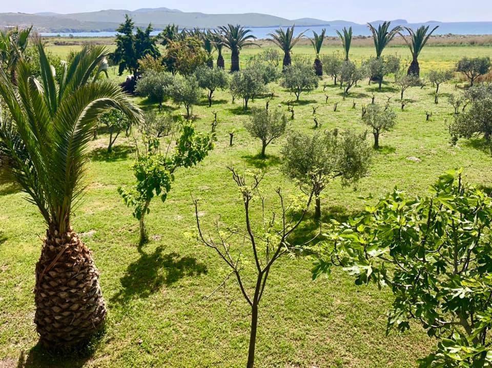 Evgatisbeach Loyskoy 2 Μύρινα Εξωτερικό φωτογραφία